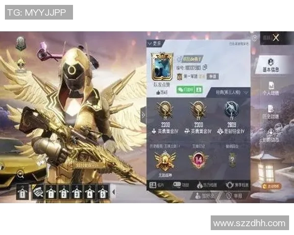 和平精英战术深度解析：BLG团队协作与战略布局的成功之道